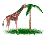 girafă imagini-animate-gif
